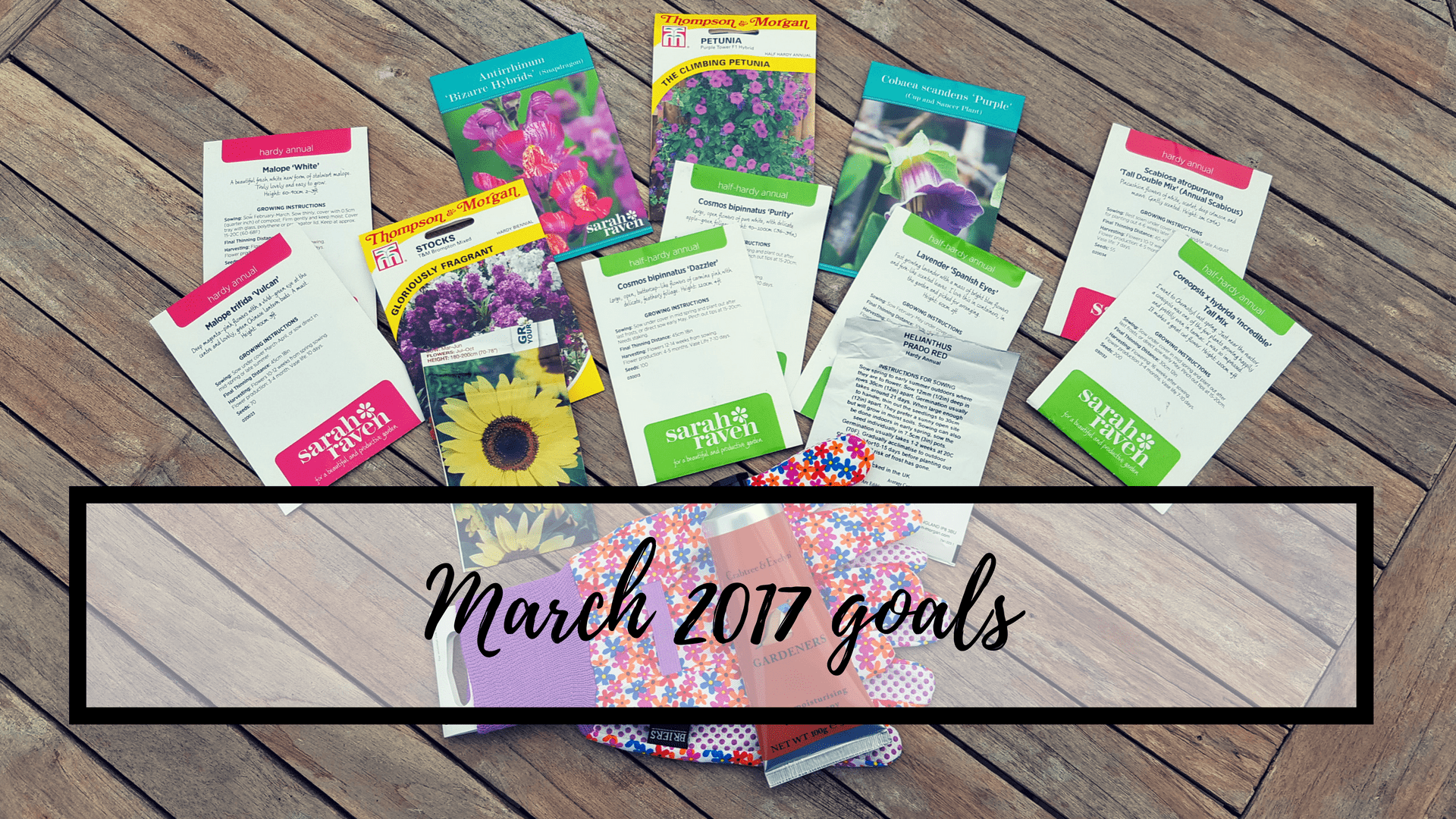 March 2017 goals 09_Marchgoals2017