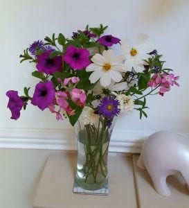 March 2017 goals Annual flowers