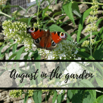 37_Augustinthegarden