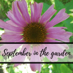 Septemberinthegarden