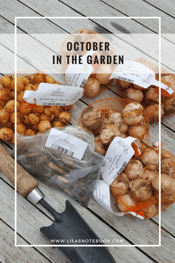 October in the garden October-in-the-garden_lisasnotebook_Pinterest
