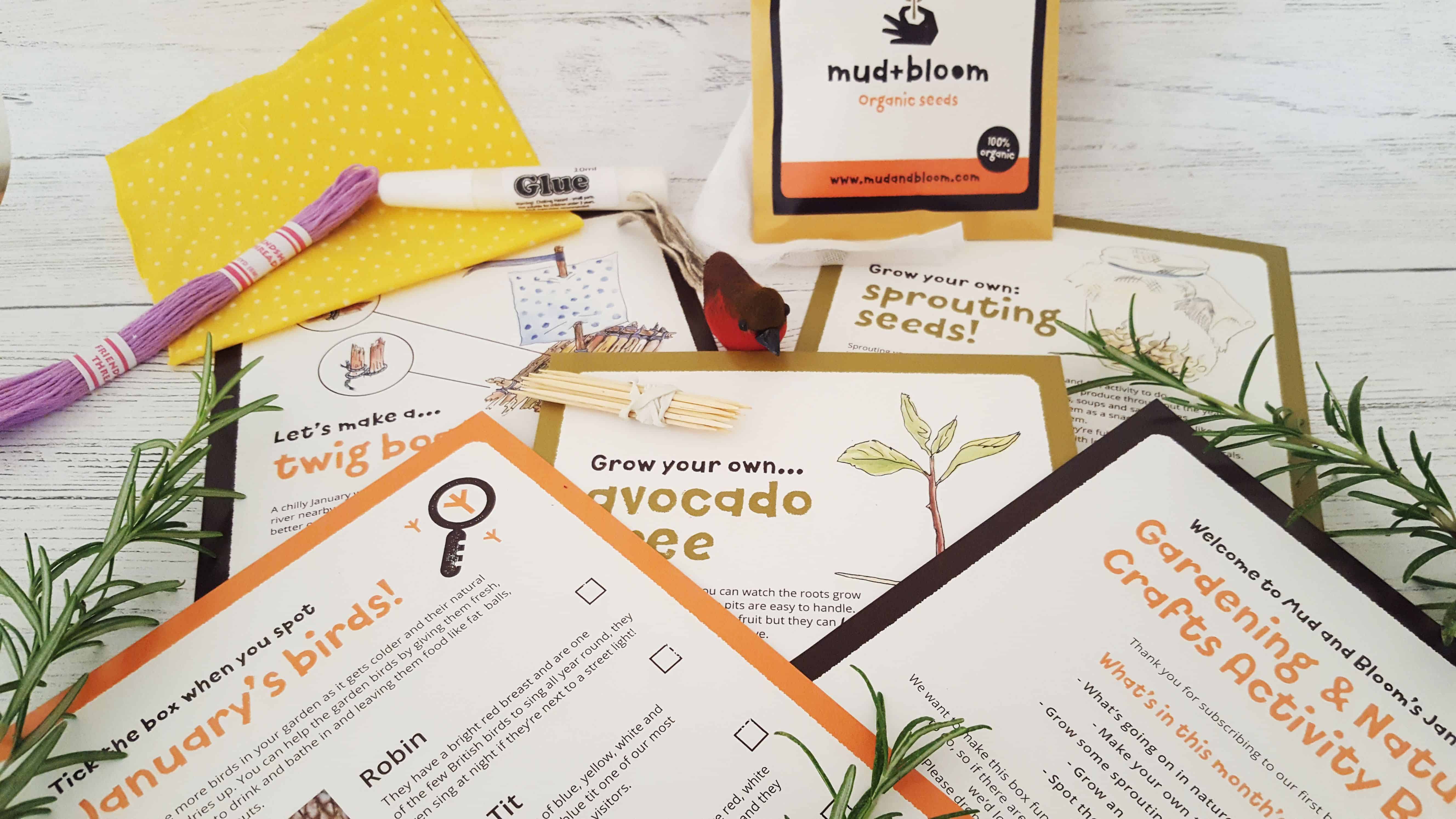 Mud and Bloom Kids Nature, Craft & Gardening January Box - review mud-and-bloom-january-review_www.lissnotebook.com