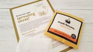 Mud and Bloom Kids Nature, Craft & Gardening January Box - review mud-and-bloom-january-review_www.lisasnotebook.com