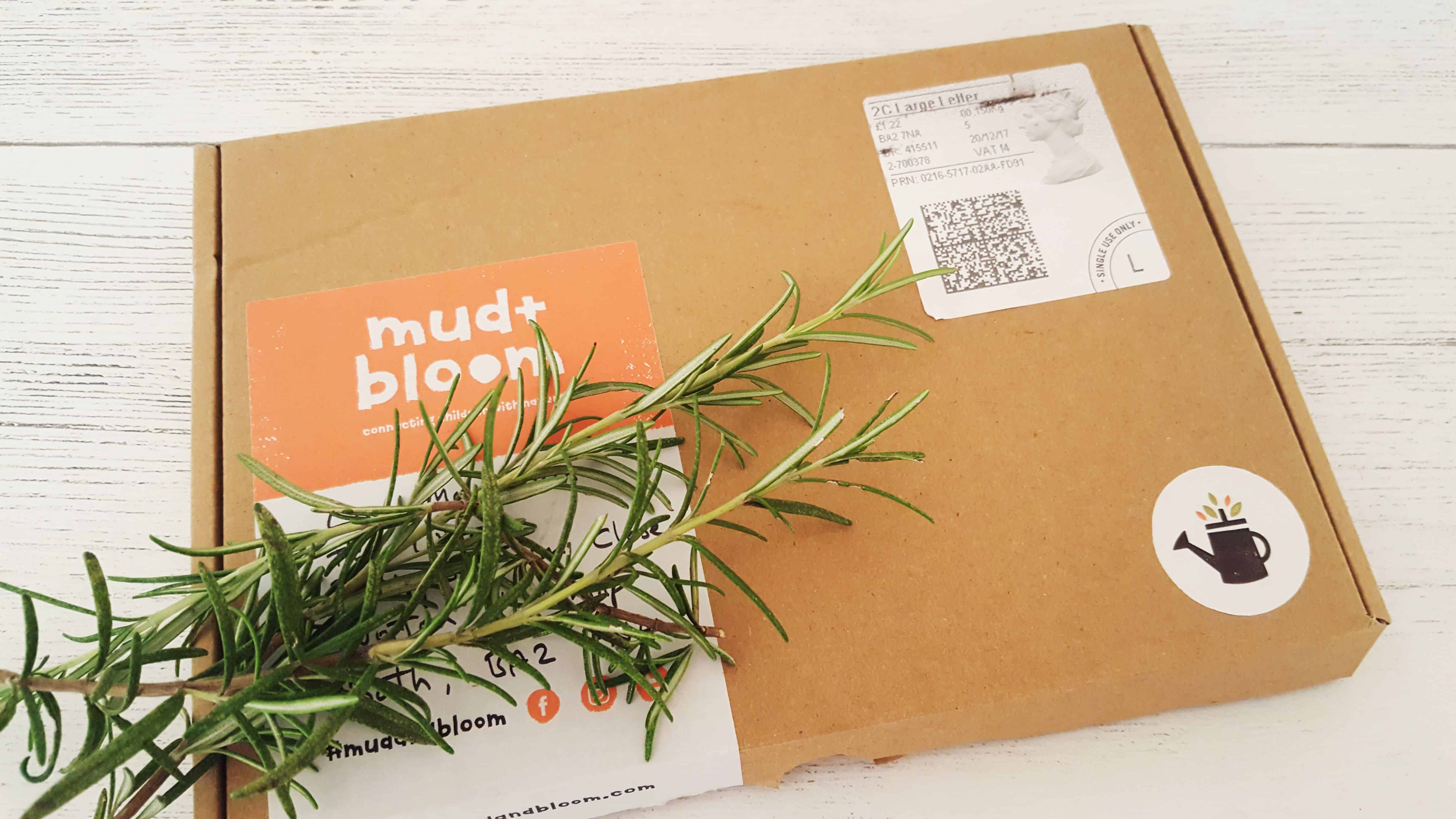 Mud and Bloom Kids Nature, Craft & Gardening January Box - review mud-and-bloom-january-review_www.lissnotebook.com