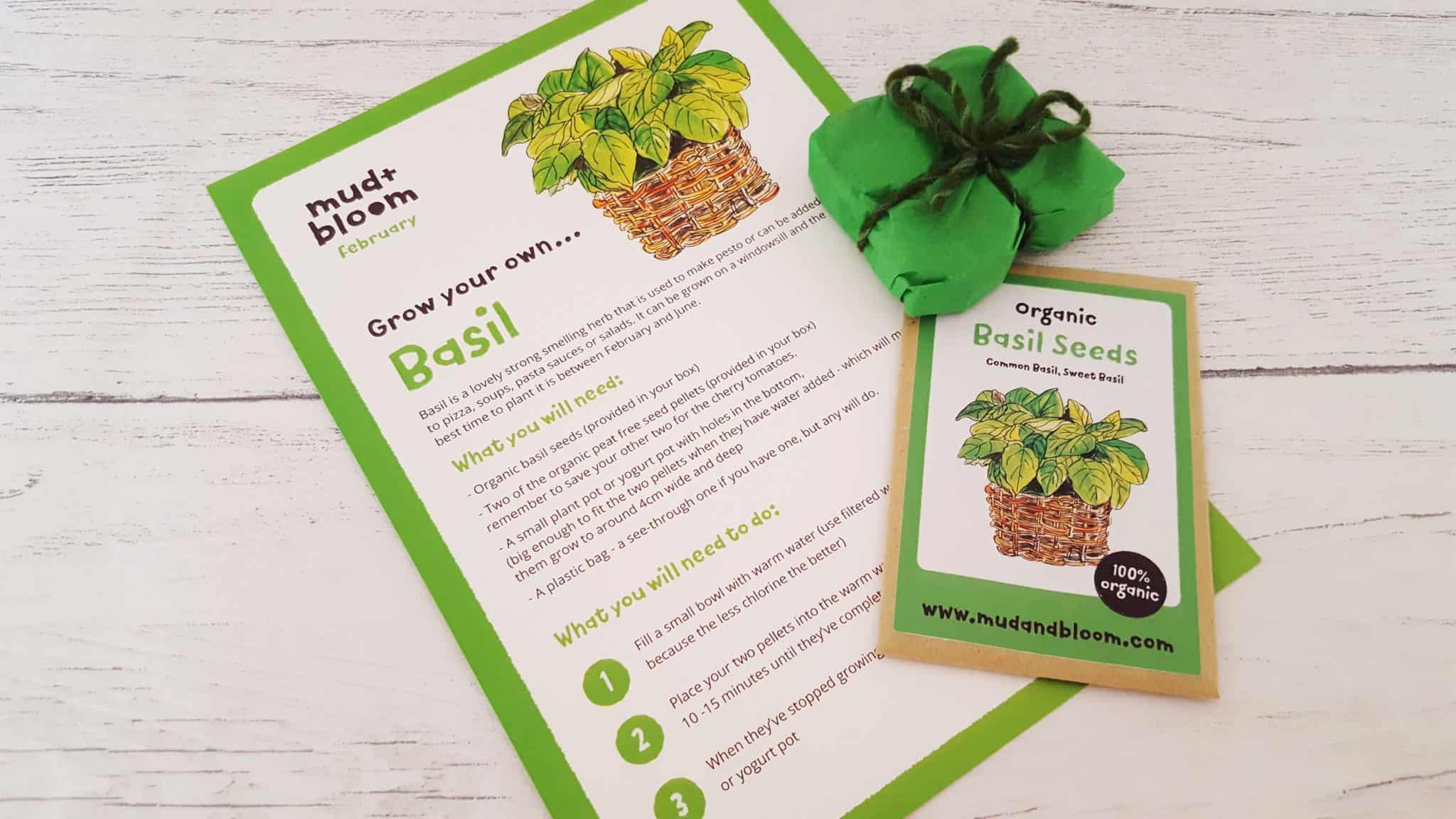 Mud and Bloom Kids Nature, Craft & Gardening February Box - review mud-and-bloom-february-review_www.lisasnotebook.com