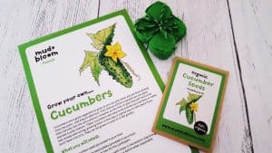 Mud and Bloom Kids Nature, Craft & Gardening March Box - review 20180311 154227