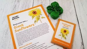 Mud and Bloom Kids Nature, Craft & Gardening March Box - review mud-and-bloom-march-review_www.lisasnotebook.com