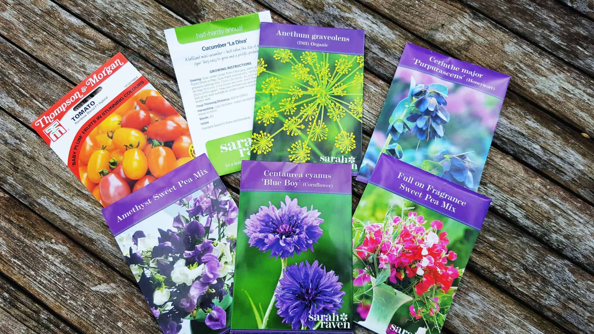 March in the garden March-in-the-garden_www.lisasnotebook.com