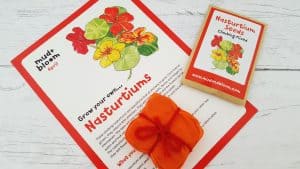 Mud and Bloom Kids Nature, Craft & Gardening April Box – review mud-and-bloom-april-review_www.lisasnotebook.com