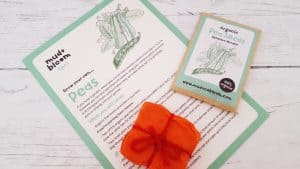 Mud and Bloom Kids Nature, Craft & Gardening April Box – review mud-and-bloom-april-review_www.lisasnotebook.com