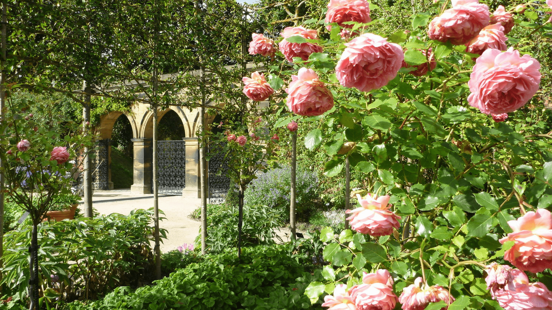 Finding inspiration from some of Britain’s most beautiful gardens * Finding_inspiration_from_some_of _Britain’s_most_beautiful_gardens_www.lisasnotebook.com