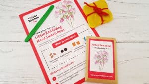 Mud and Bloom Kids Nature, Craft & Gardening May Box – review mud-and-bloom-may-review_www.lisasnotebook.com