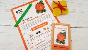 Mud and Bloom Kids Nature, Craft & Gardening May Box – review mud-and-bloom-may-review_www.lisasnotebook.com