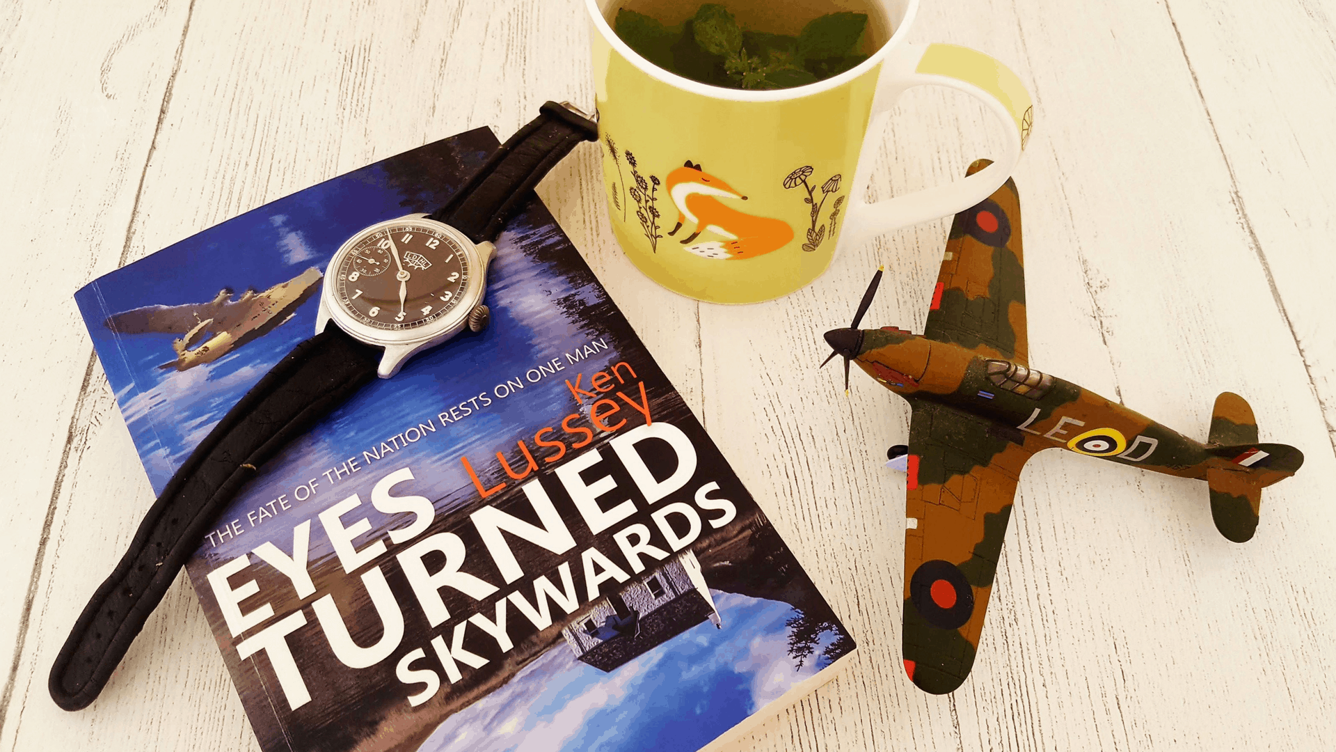 Book Review - Eyes Turned Skywards – #LoveBooksGroupTours book-review-eyes-turned-skywards