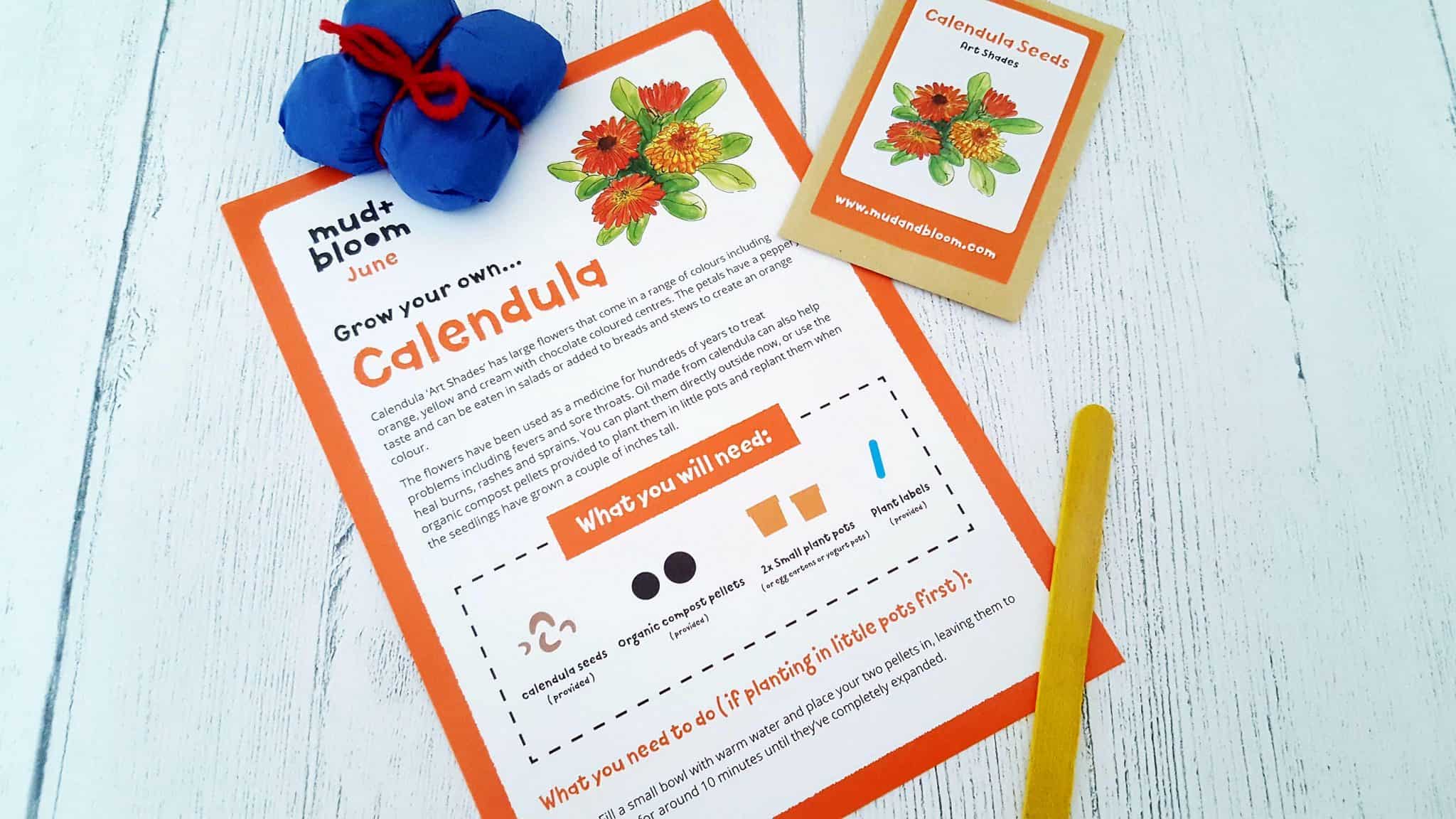 Mud and Bloom Kids Nature, Craft & Gardening June Box – review mud-and-bloom-june-review_www.lisasnotebook.com