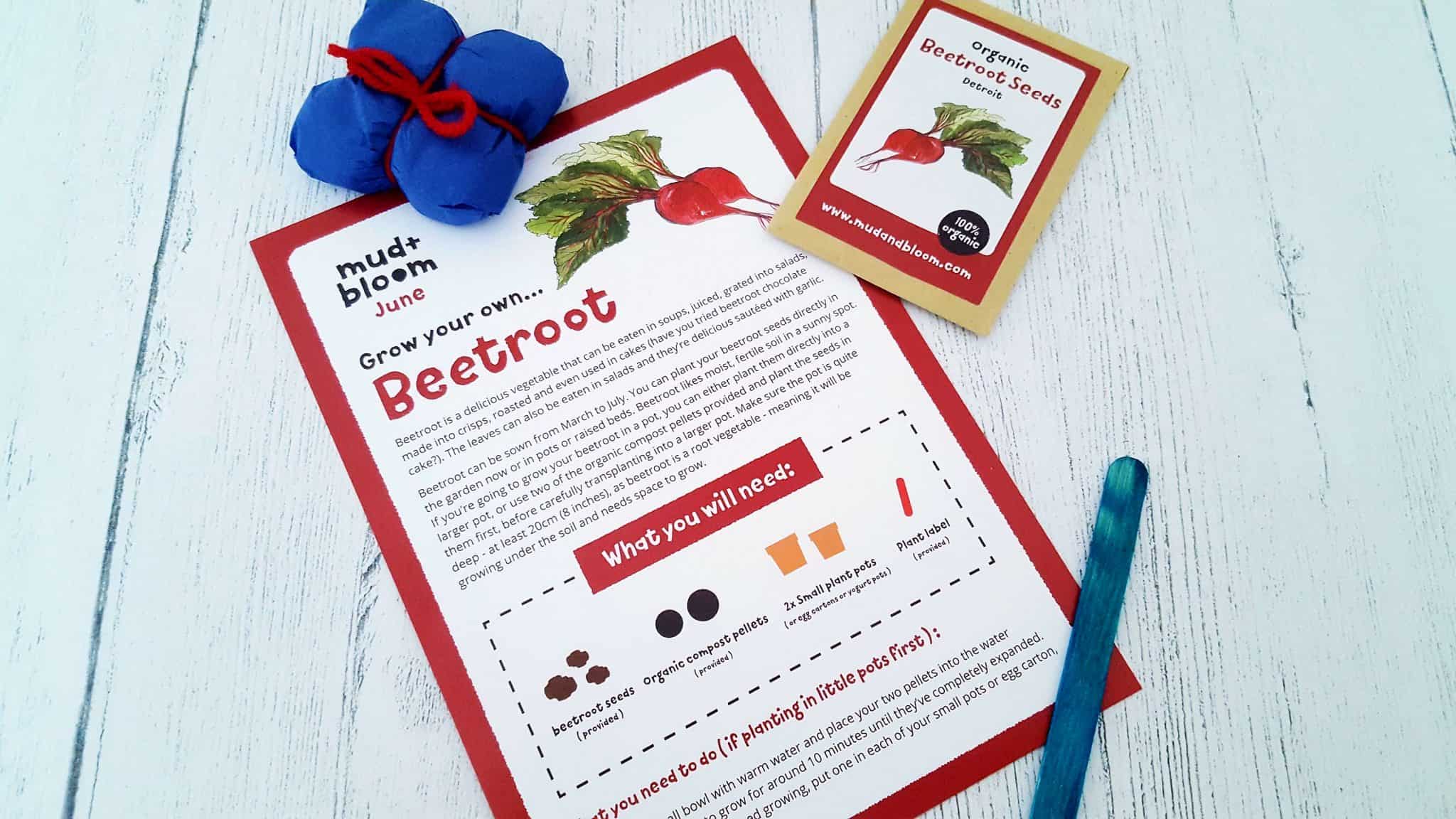 Mud and Bloom Kids Nature, Craft & Gardening June Box – review mud-and-bloom-june-review_www.lisasnotebook.com