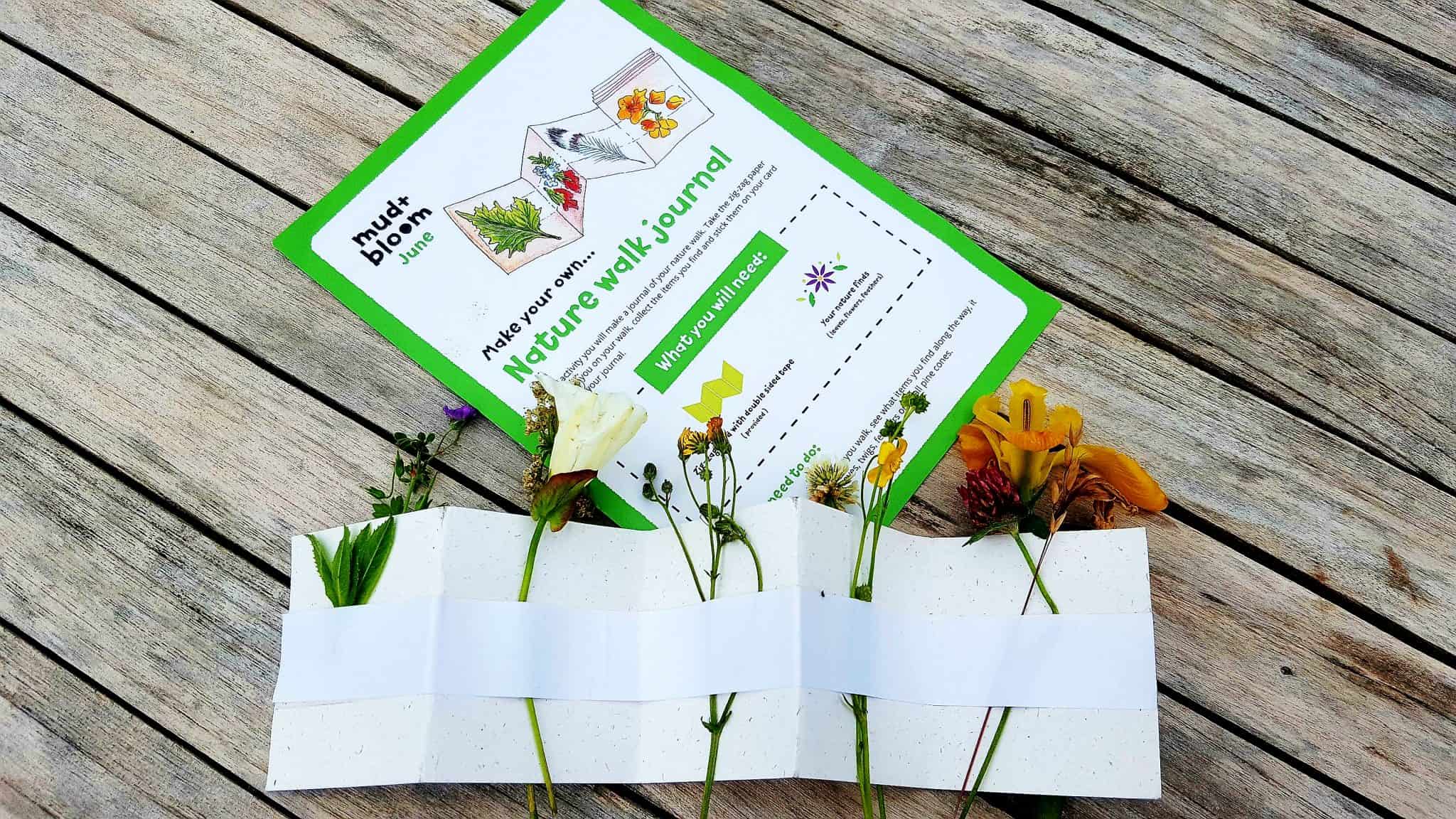Mud and Bloom Kids Nature, Craft & Gardening June Box – review mud-and-bloom-june-review_www.lisasnotebook.com