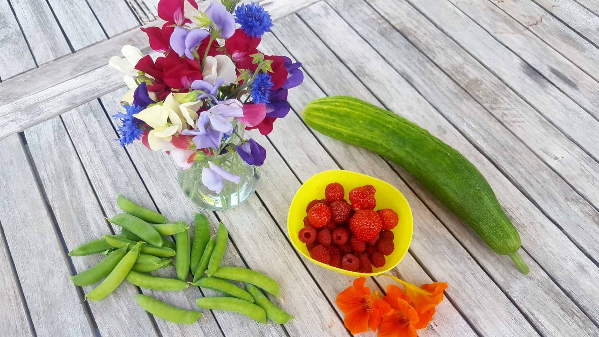 July in the garden July-in-the-garden_www.lisasnotebook.com
