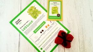 Mud and Bloom Kids Nature, Craft & Gardening July Box – review + collab with Hello Bexa mud-and-bloom-july-review_www.lisasnotebook.com