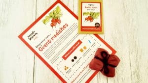 Mud and Bloom Kids Nature, Craft & Gardening July Box – review + collab with Hello Bexa mud-and-bloom-july-review_www.lisasnotebook.com
