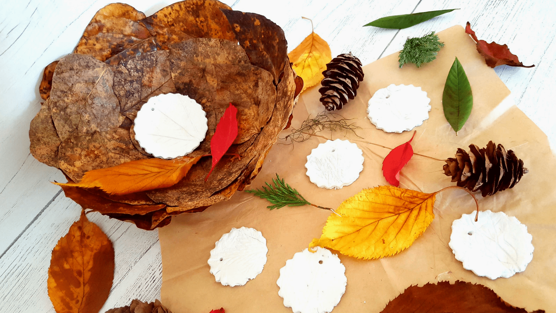 Mud and Bloom Kids Nature, Craft & Gardening October Box mud-and-bloom-october-review