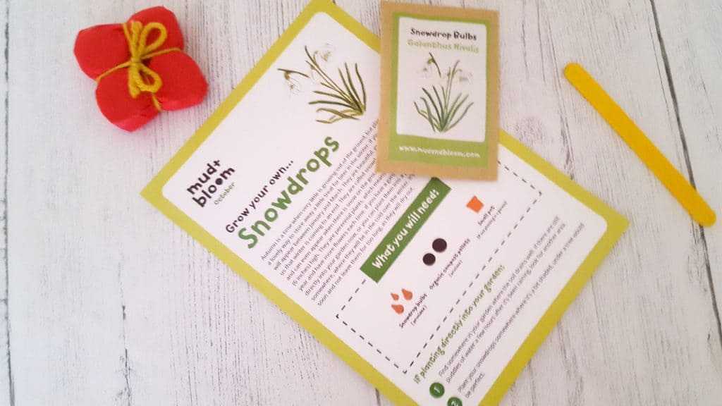 Mud and Bloom Kids Nature, Craft & Gardening October Box mud-and-bloom-october-review