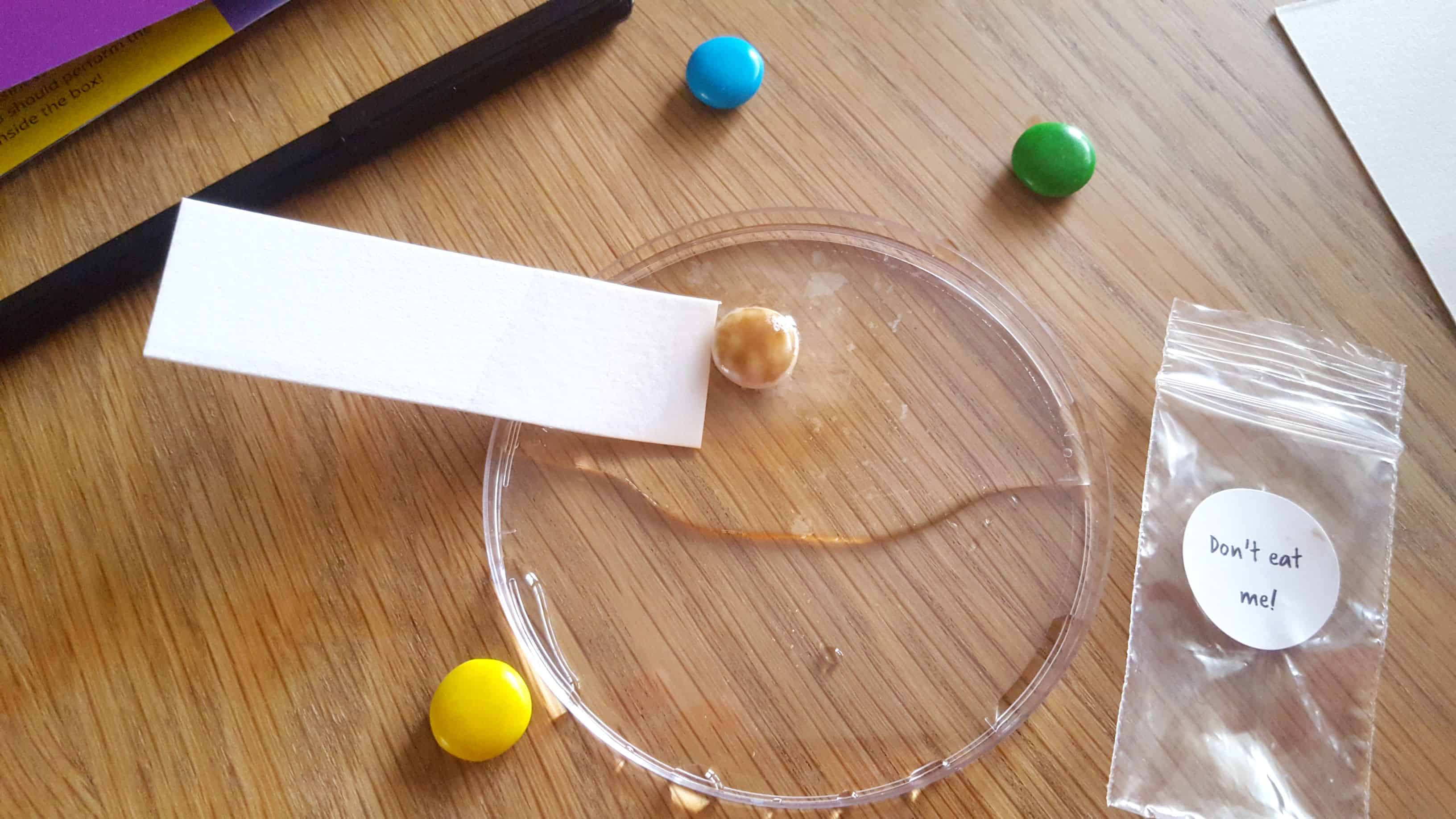 Fun science experiments for kids at home: Marvellous Mixtures * science-fun-for-kids-with-marvellous-mixtures-from-letterbox-lab_09