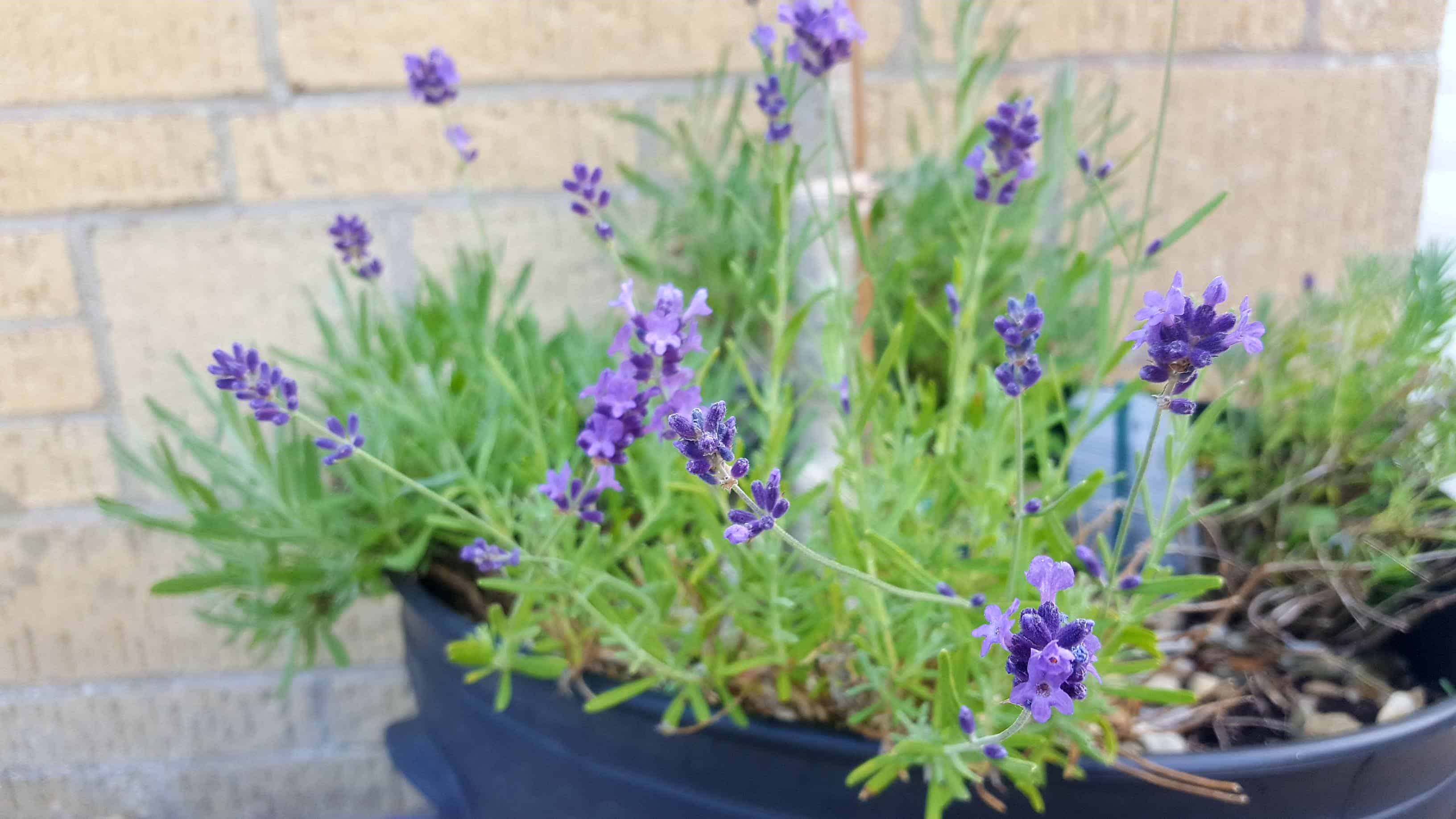 Top 4 easy ways to improve your home’s exterior * easy-ways-to-improve-your-home's-exterior
