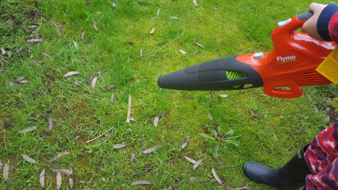 Five Lawn Care Tips to Prepare Your Lawn Ready for Spring * Flymo C-LiNK 3-in-1 leaf blower