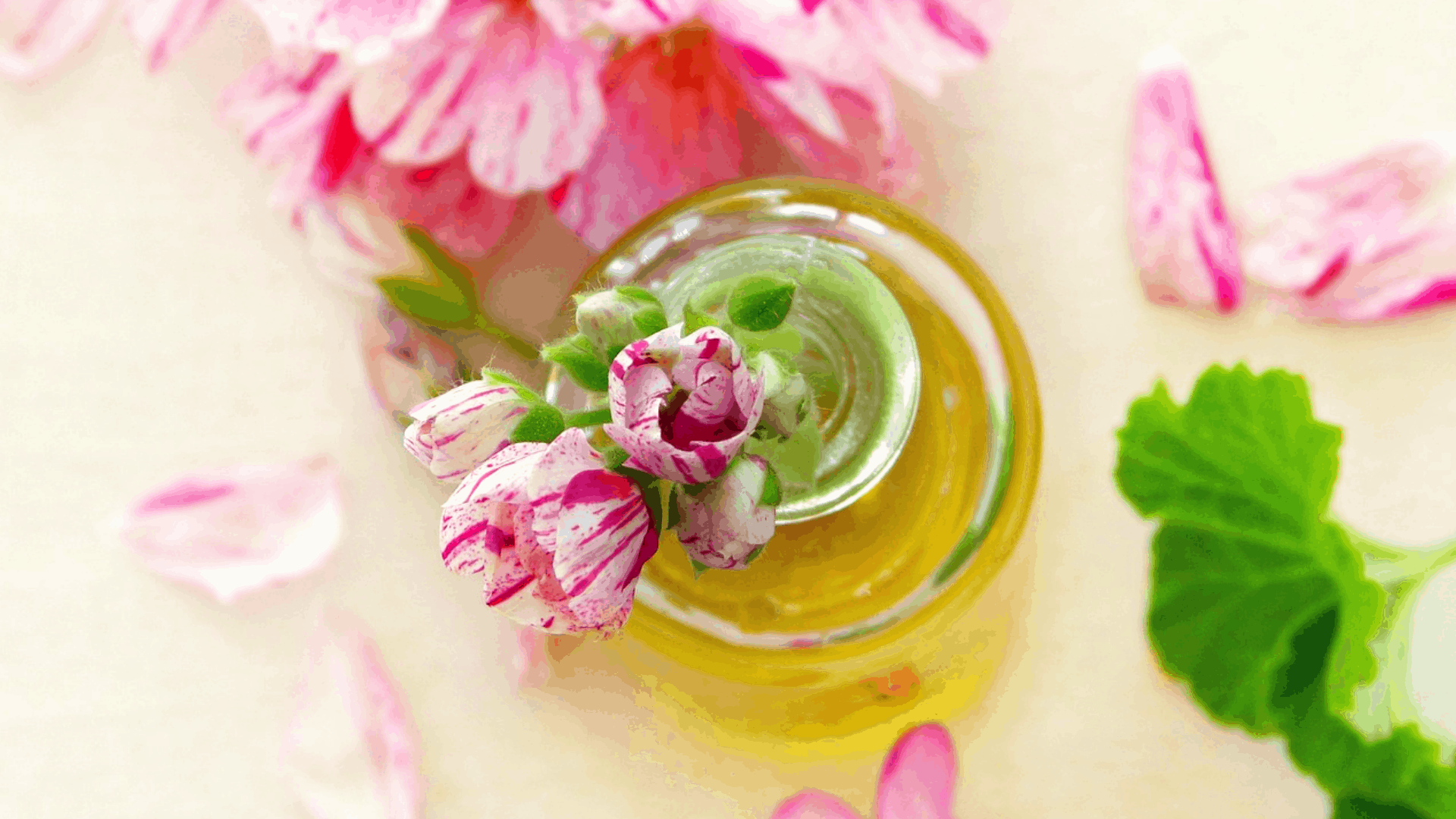 How to Use Essential Oils for Combination Skin essential-oils-for-combination-skin