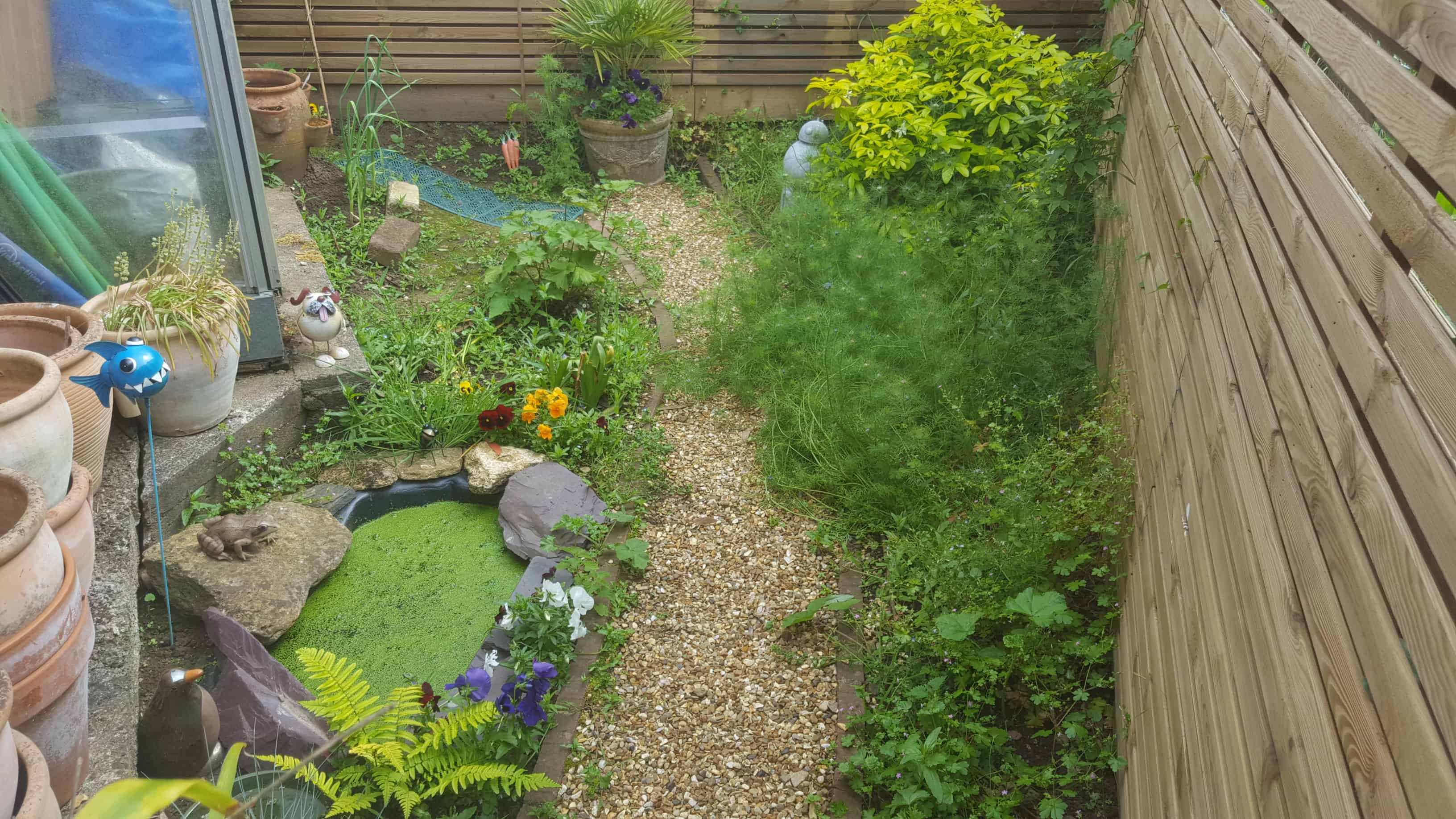 June in my garden june-in-my-garden - Flora's garden