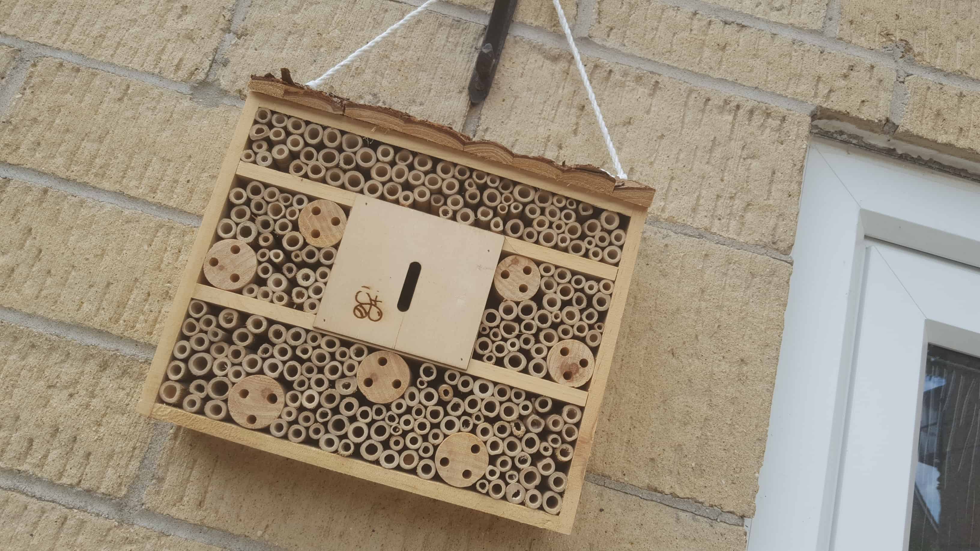 June in my garden june-in-my-garden - bee house