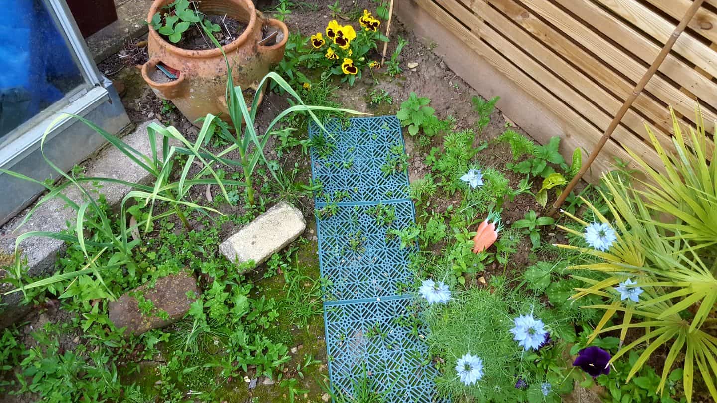 July in my garden * July in my garden