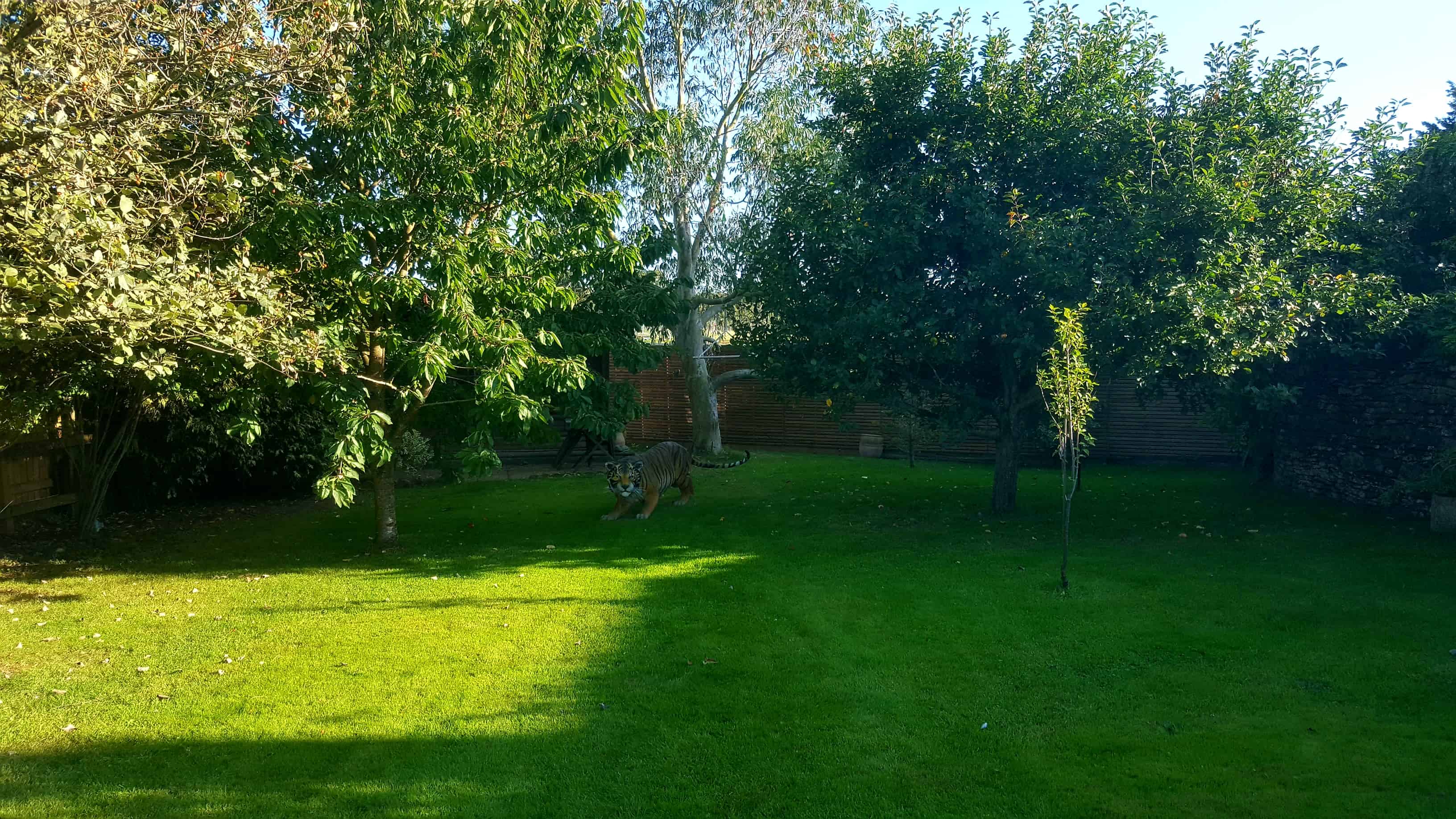 September in our garden September in our garden - Orchard