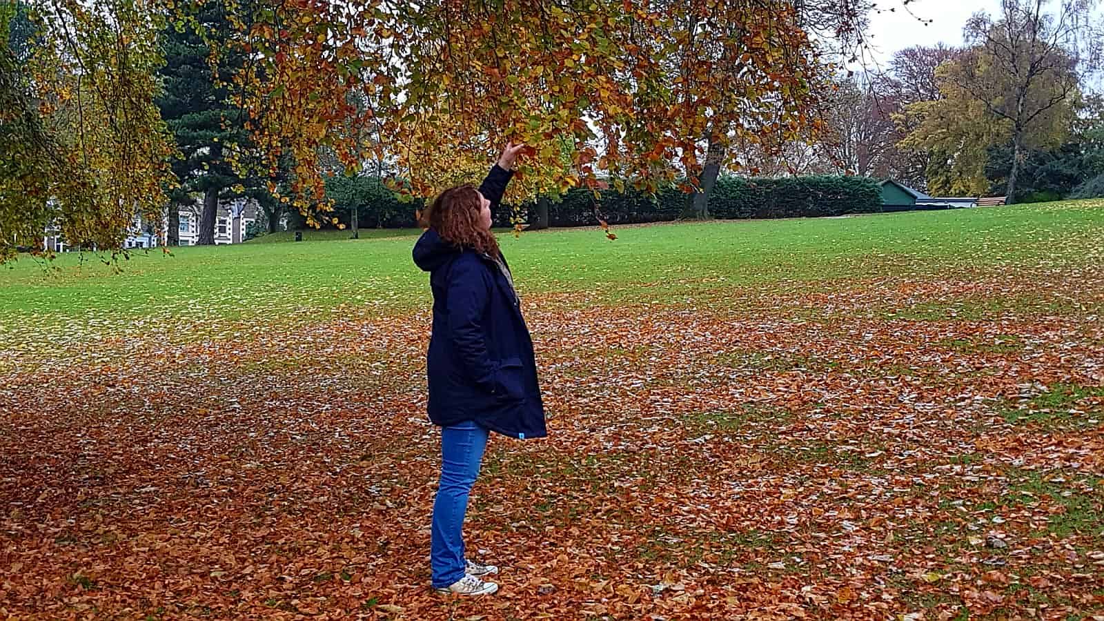 Why I'm Learning to Appreciate My Achievements * Learning to appreciate my achievements