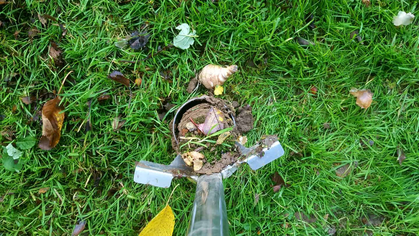 November in our garden November in our garden - bulb planting