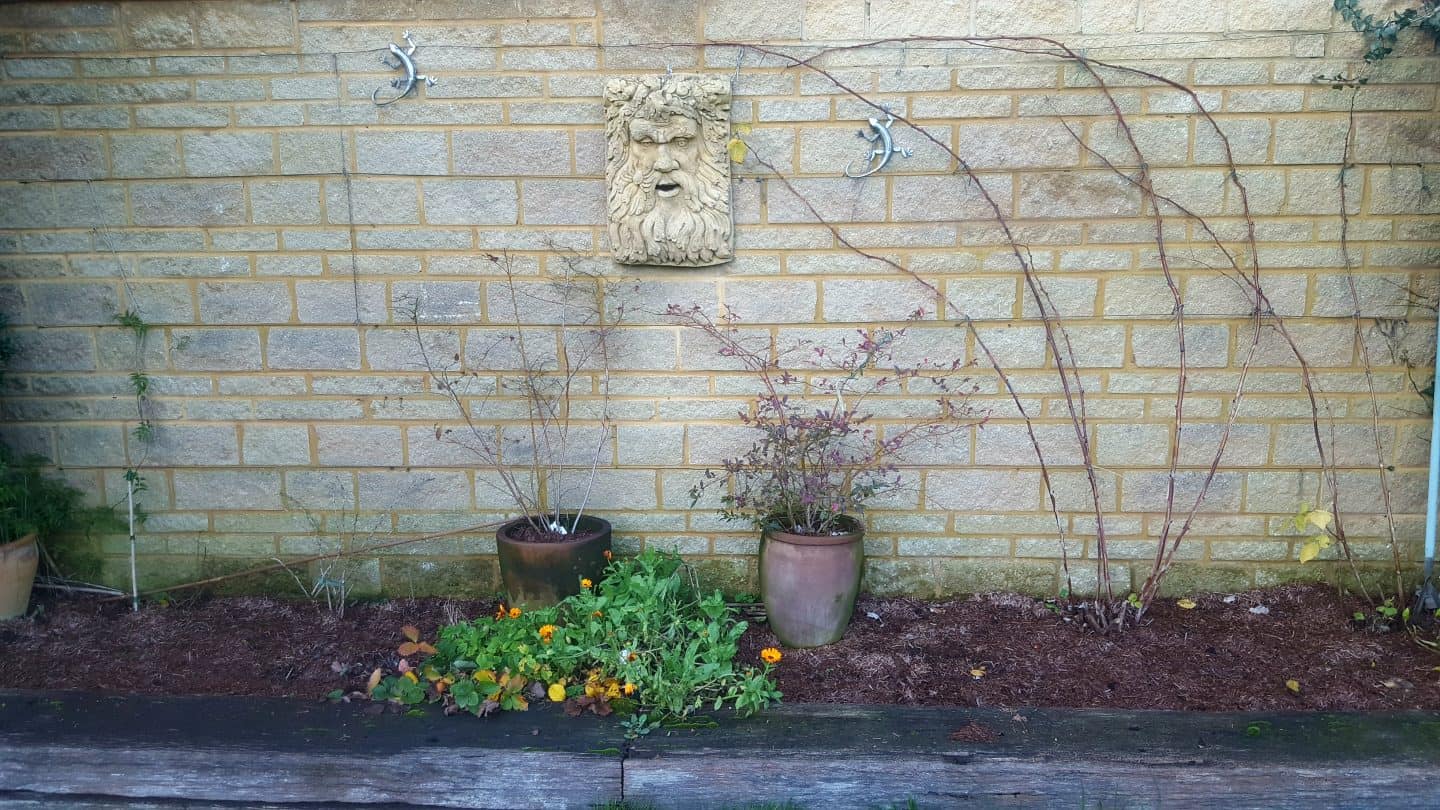 January in our garden - a garden diary January in our garden - mulch