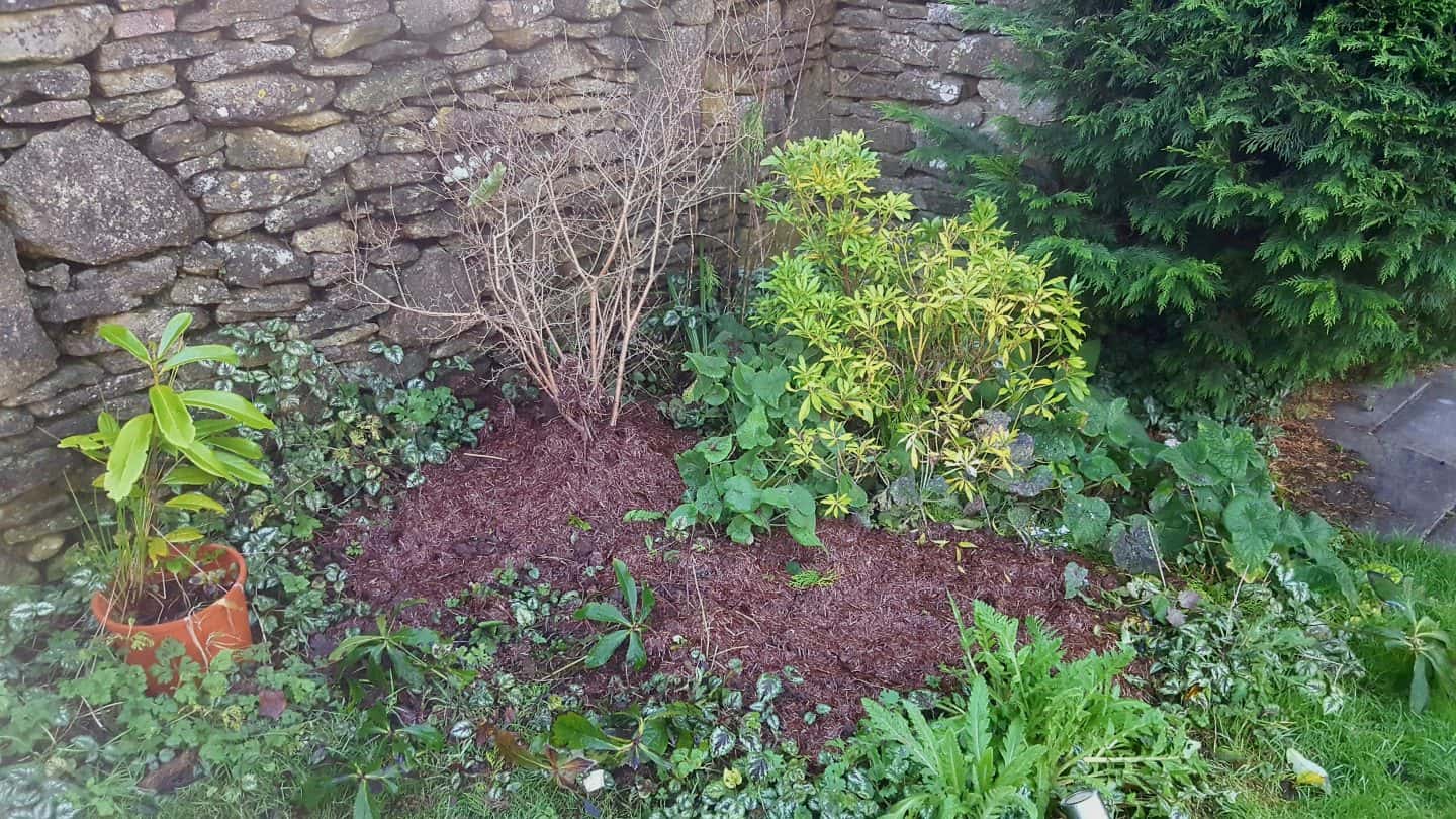 January in our garden - a garden diary January in our garden - mulch