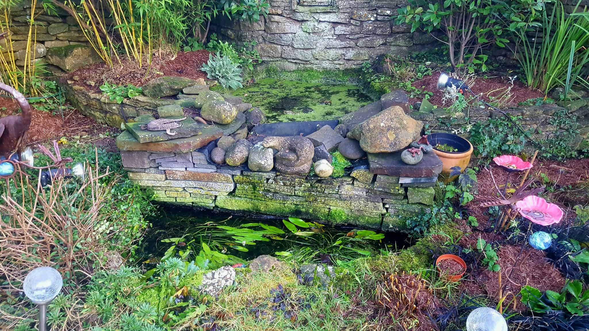 January in our garden - a garden diary January in our garden - ponds