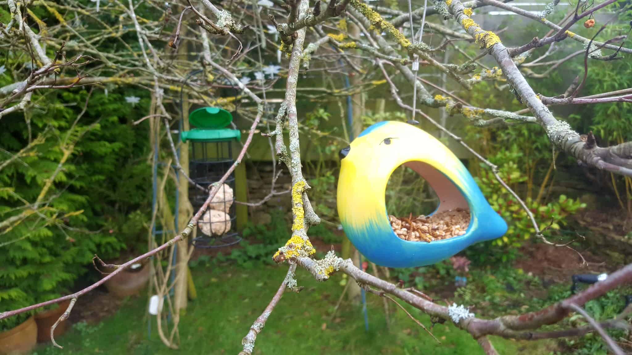 January in our garden - a garden diary January in our garden - bird feeders