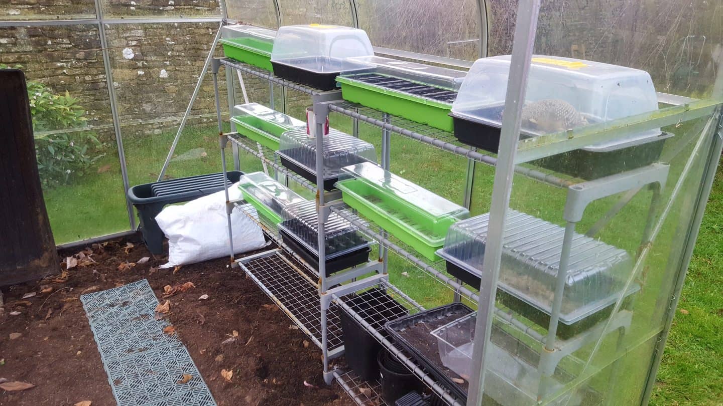 January in our garden - a garden diary January in our garden - greenhouse