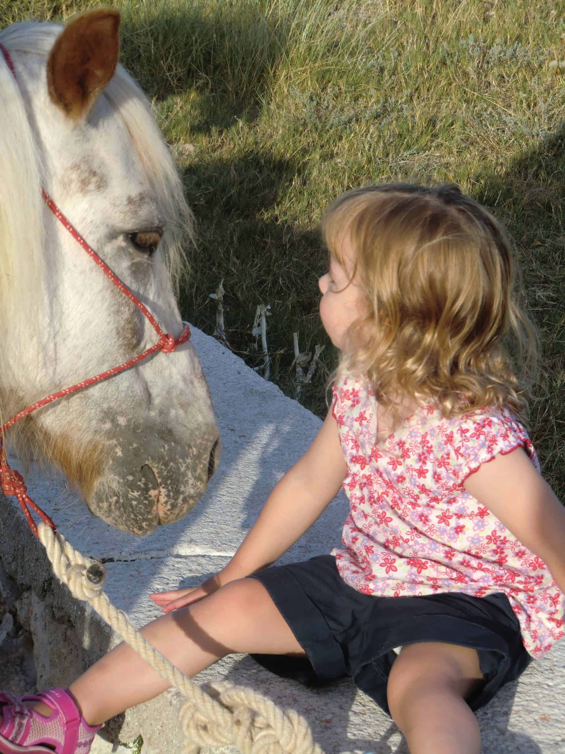 What Does the Perfect Family Holiday Look Like to You? * perfect-family-holiday-ponies