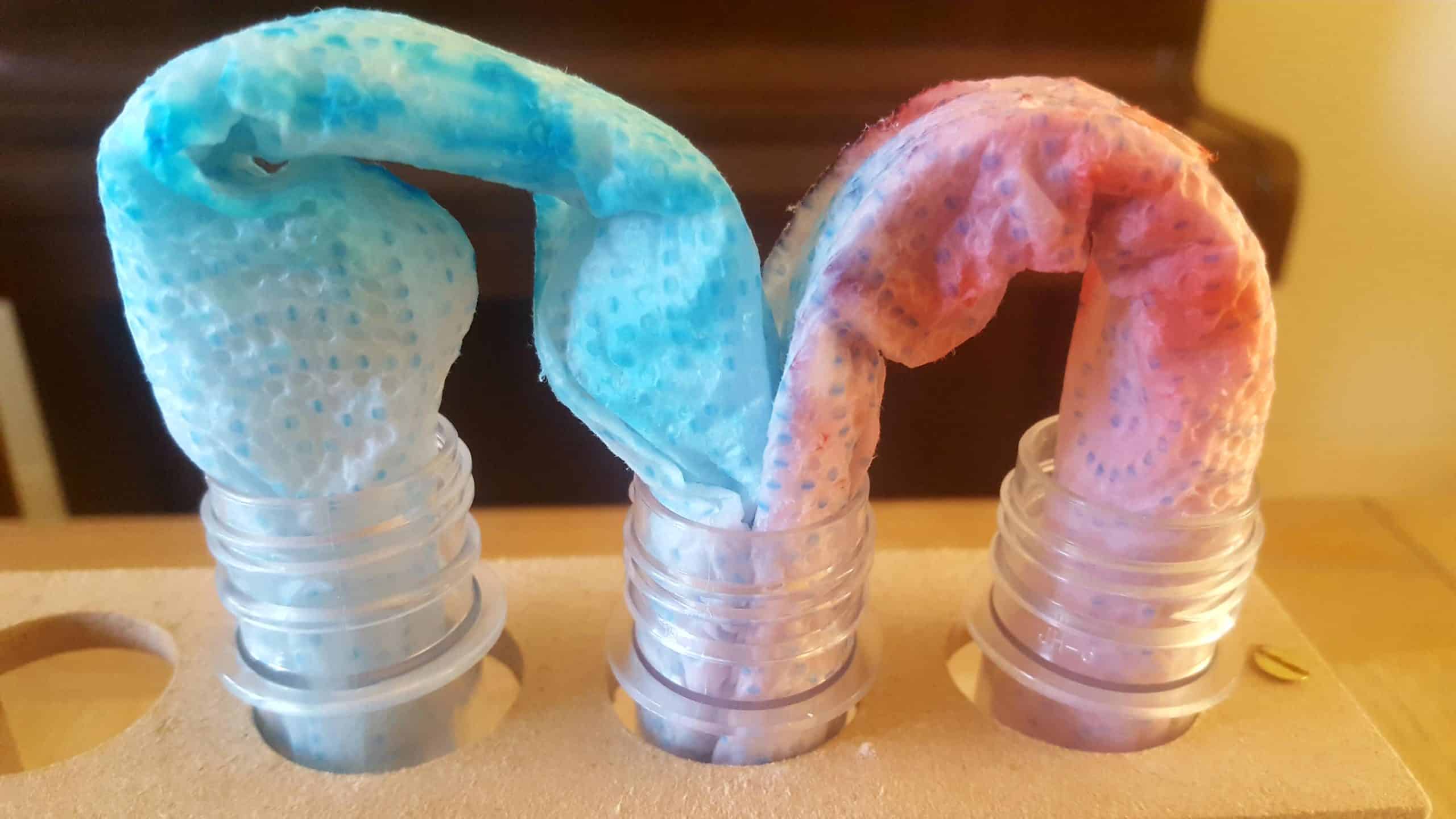 Fun science experiments for kids at home: Inner Space * Fun science experiments for kids - Inner Space