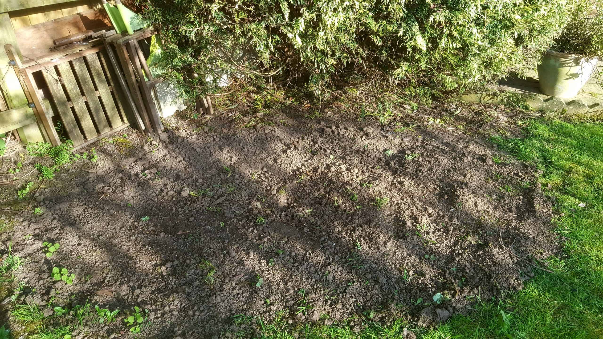 April in our garden - a garden diary Wildflower patch