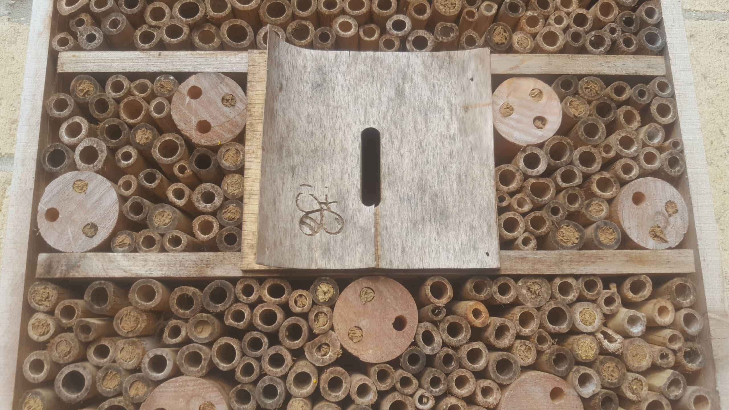 June in our garden - a garden diary Bee house