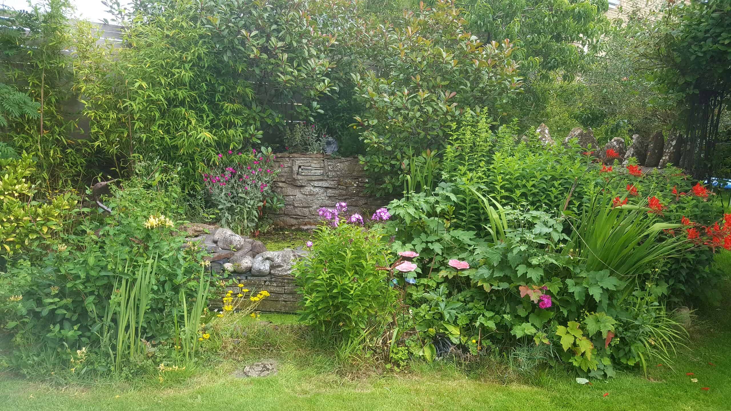 July in our garden - a garden diary Pond area
