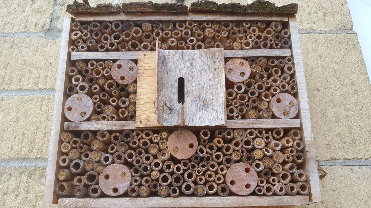 July in our garden - a garden diary Bug hotel