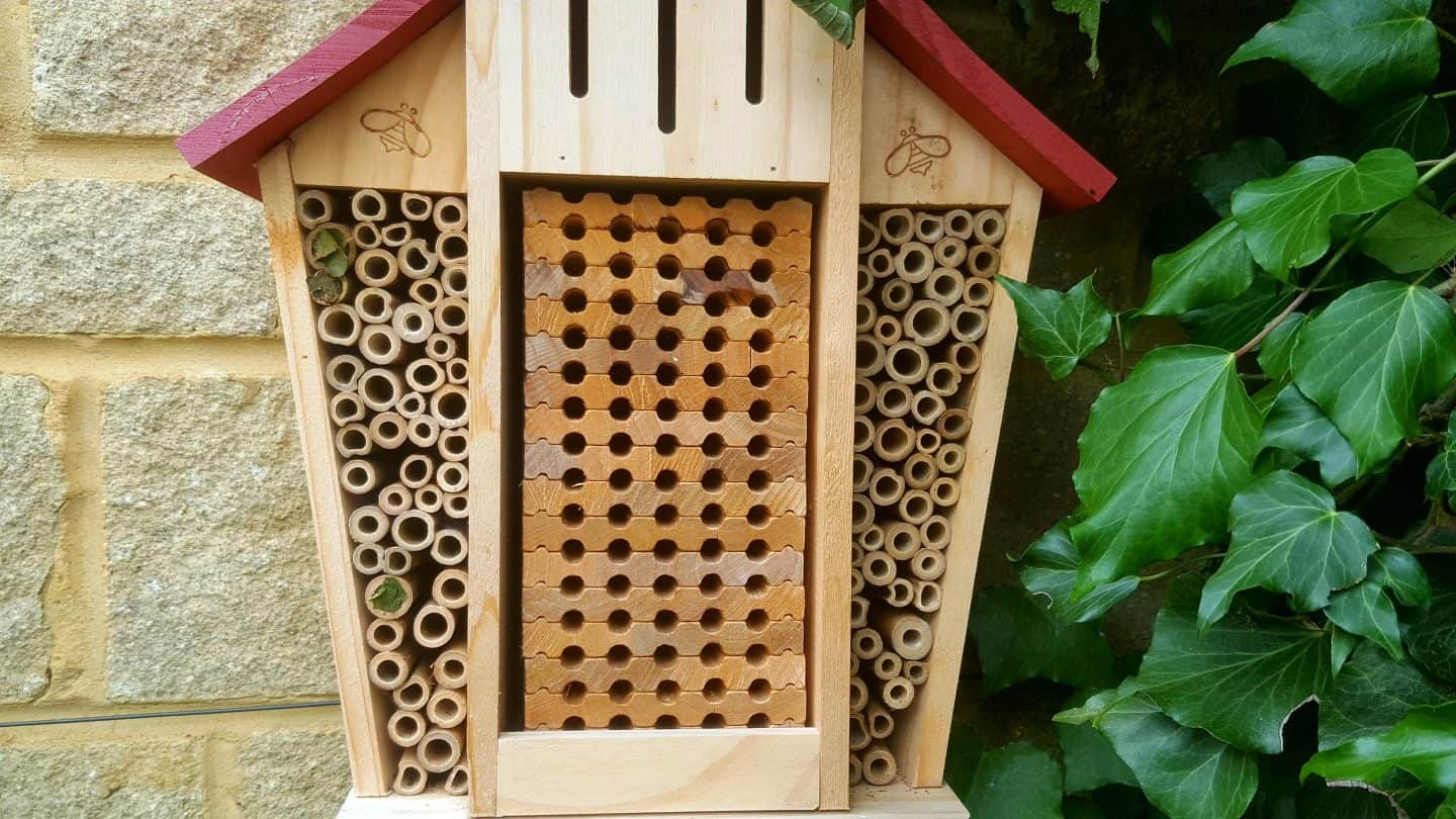July in our garden - a garden diary Bug hotel