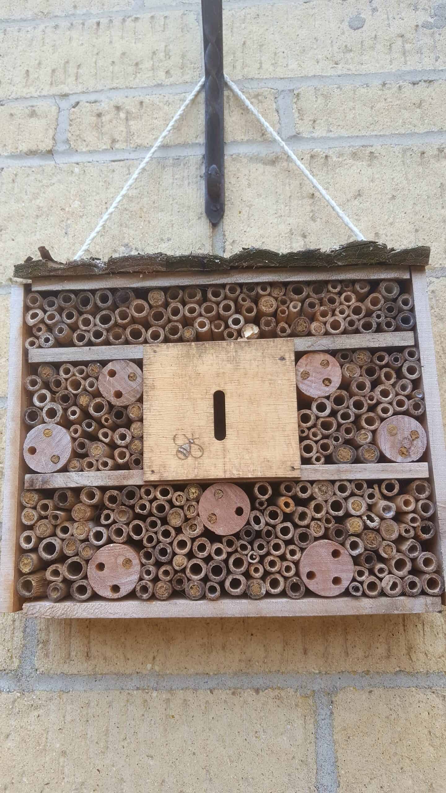 August in our garden - a garden diary August in our garden - bug hotel