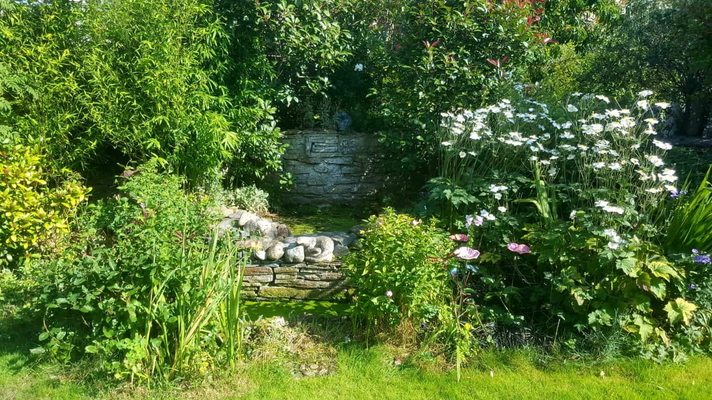 September in our garden - a garden diary September in our garden - wildlife ponds